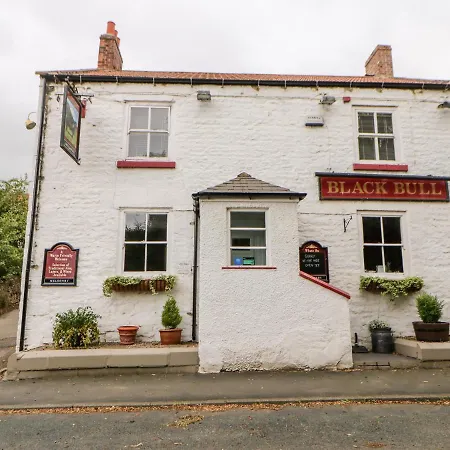 Duck Richmond (North Yorkshire)